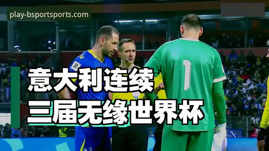 从波黑点杀意大利看顶级赛事：资深用户分享B体育平台观赛心得